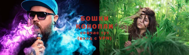 Бошки марихуана SATIVA & INDICA  сайты даркнета формула  Новоалександровск 